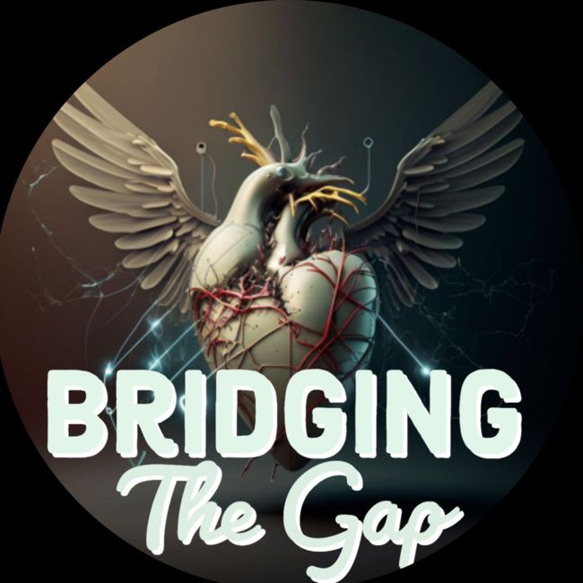 Bridging the Gap - International Undergraduate Med Society