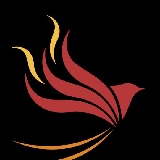 The Phoenix Project UK