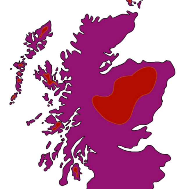 Scottish Undergraduate Oncology Consortium