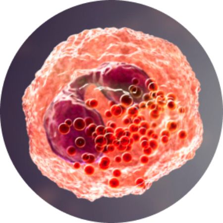 Haematology Group (Demo)