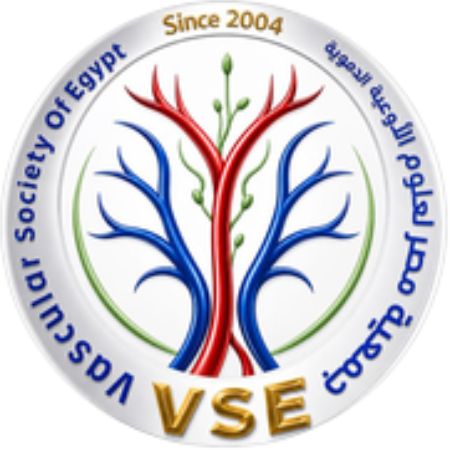 Vascular Society of Egypt VSE ( President Prof Mostafa Soliman)