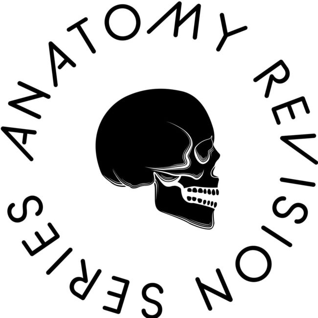Anatomy Revision Series