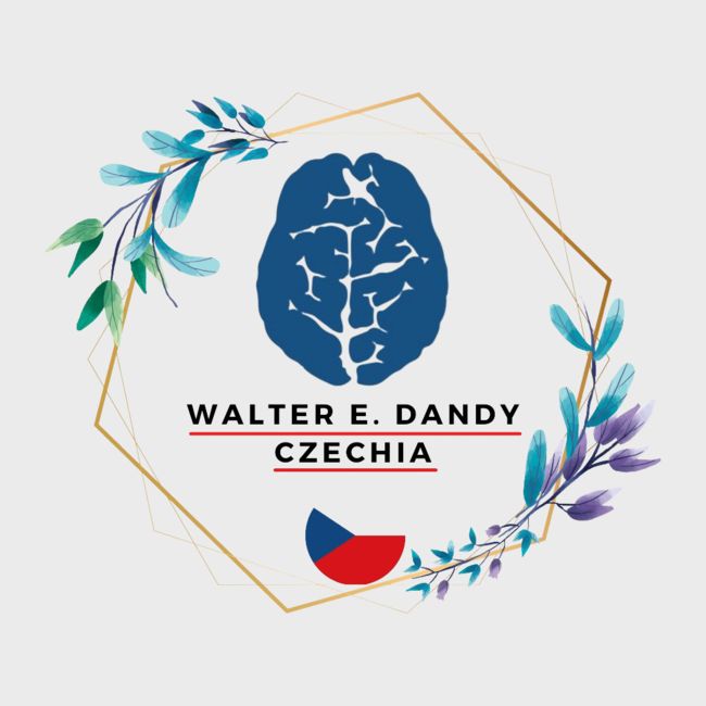Walter E. Dandy Neurosurgical Society, Czech Republic