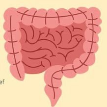 National Undergraduate Gastroenterology and Hepatology Conference 2022