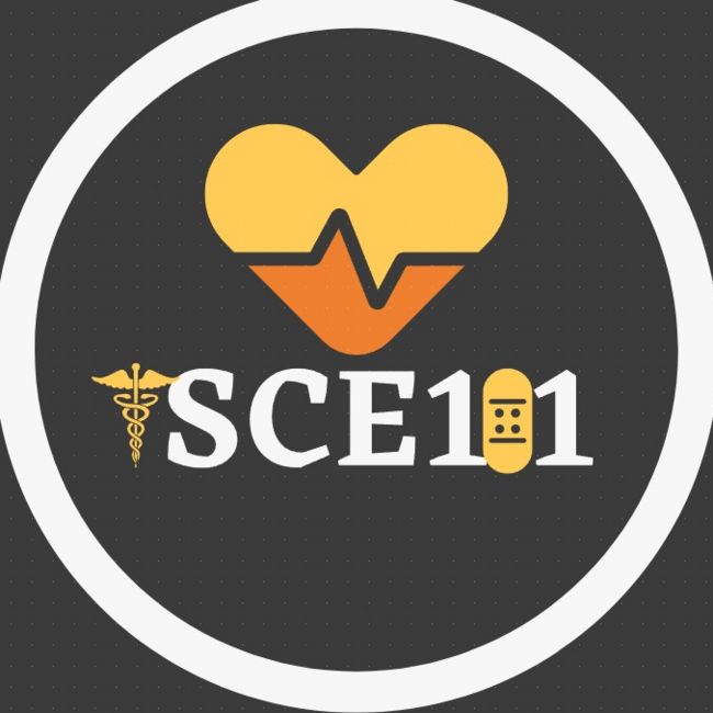 ISCE101