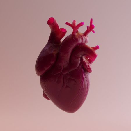 NCHD Cardiology at Connolly