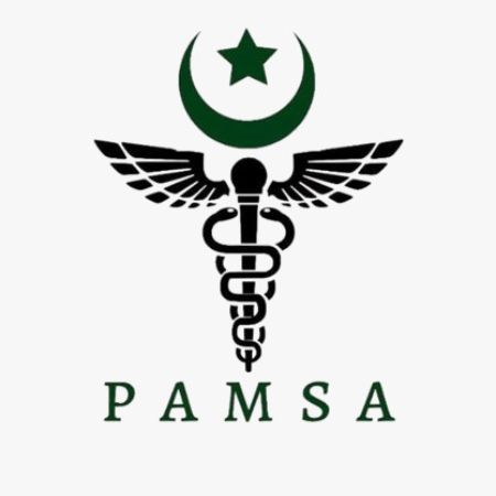 PAMSA Mentorship