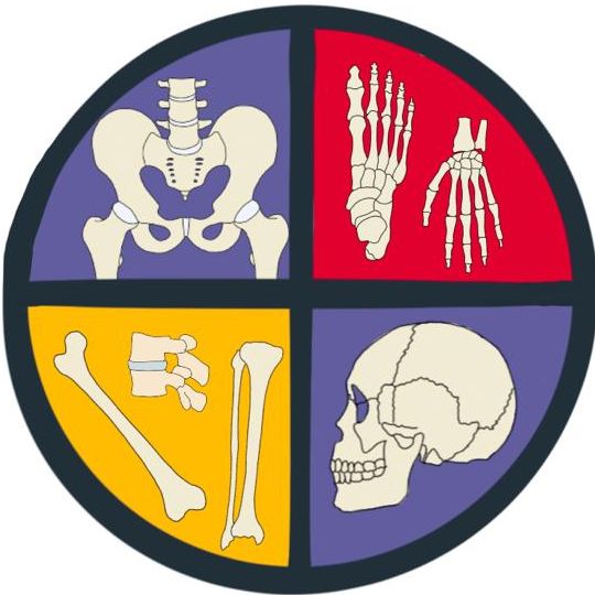 HYMS Trauma and Orthopaedic Society 