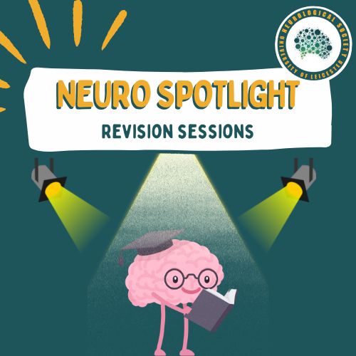 Neuro Spotlight