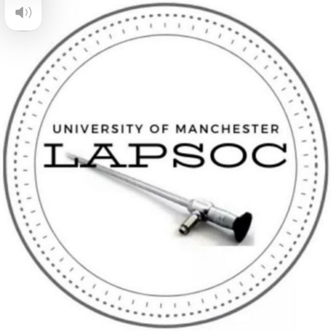 Laparoscopic Surgery Society 