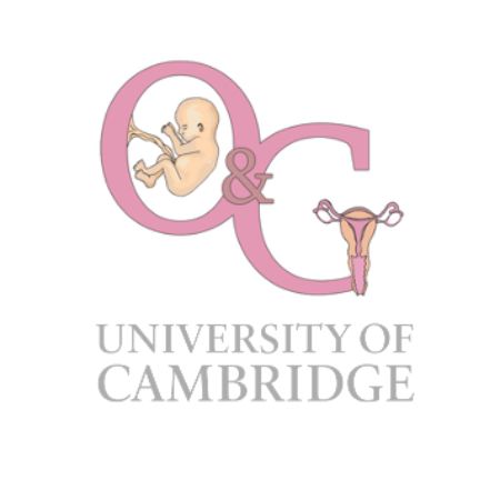 CUOGS - Cambridge University O&G Society