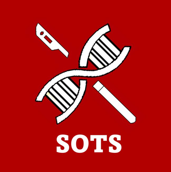 Surgical Oncology Teaching Series (SOTS)