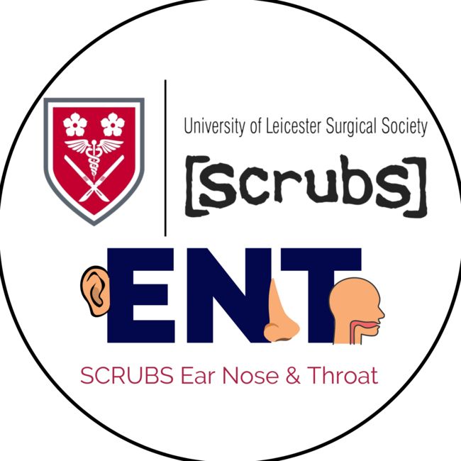 SCRUBS ENT 