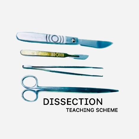 Dissection Teaching Scheme