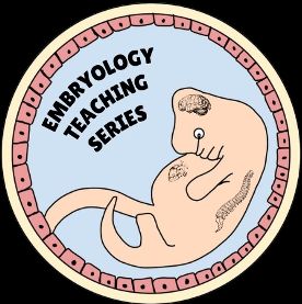 Embryology Teaching Series