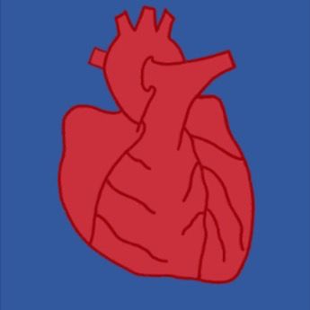 Newcastle University CardioSoc