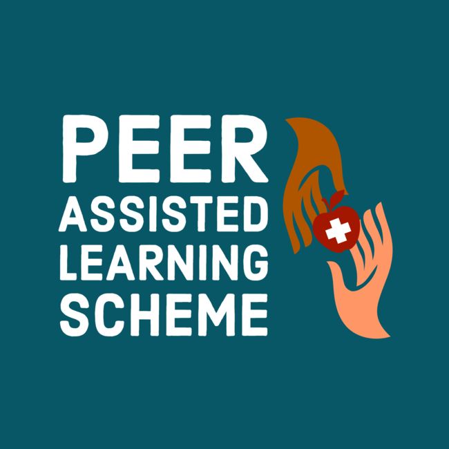 Peer Assisted Learning Scheme