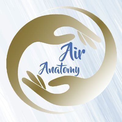 Air Anatomy