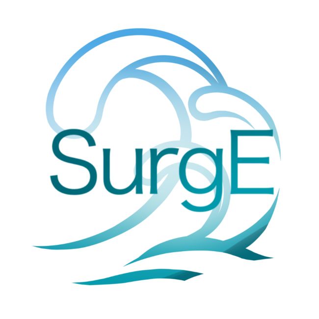 SurgE