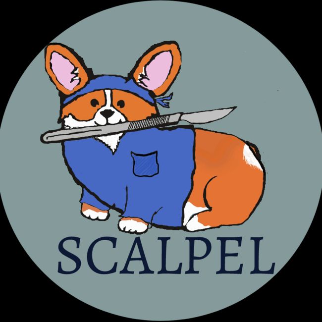 Scalpel - University of Buckingham