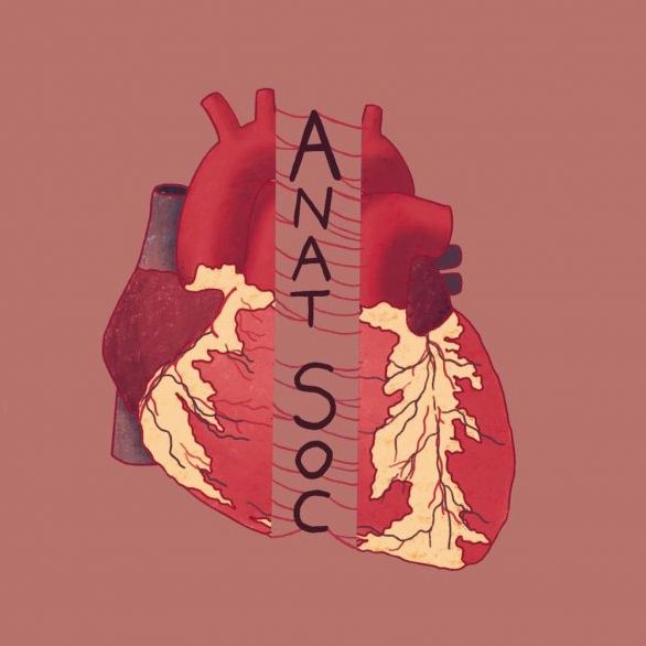 BSMS Anatomy Society