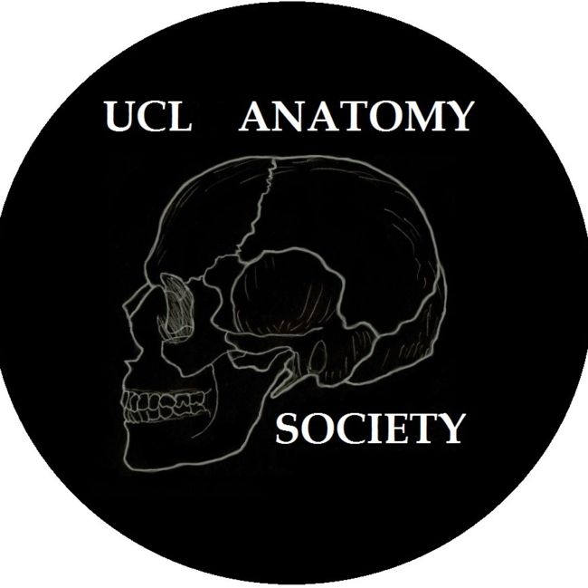 UCL anatomy society 