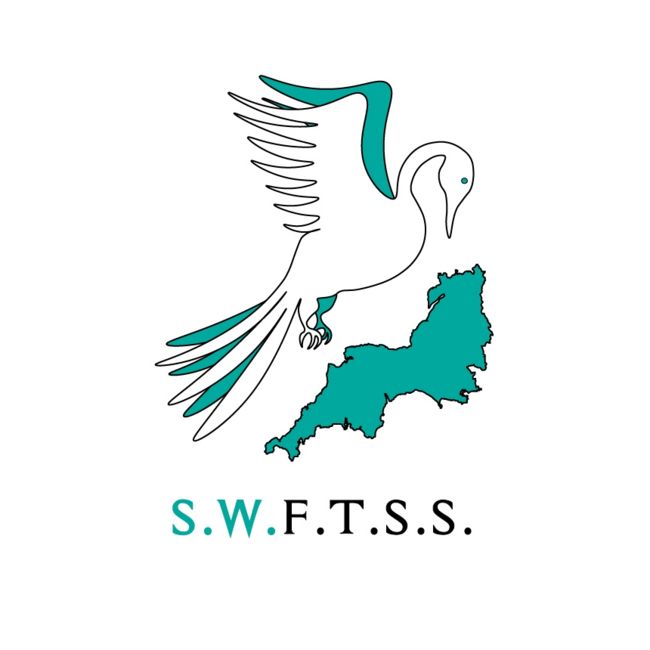 South West Foundation Trainee Surgical Society (SWFTSS)
