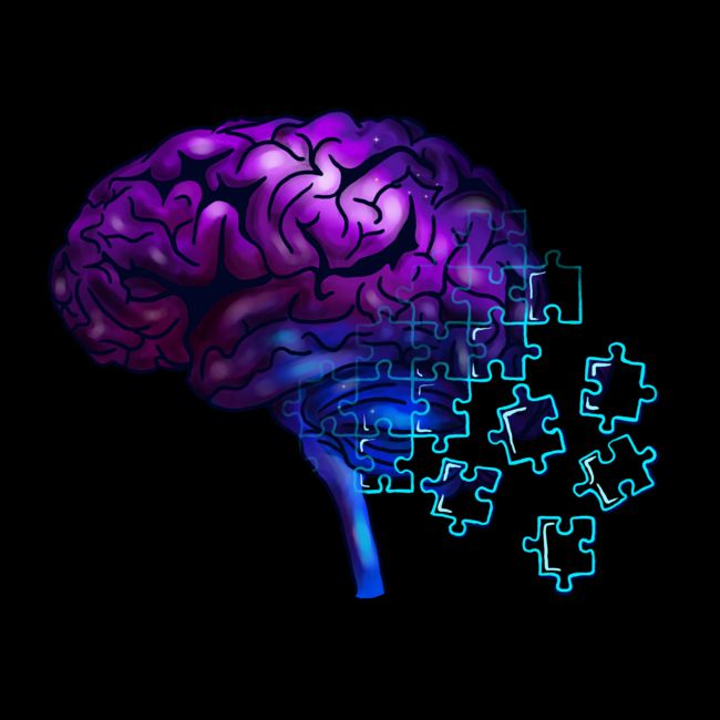The National Undergraduate Neuroanatomy Competition