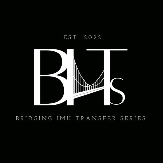 Bridging IMU Transfer series (BITs)