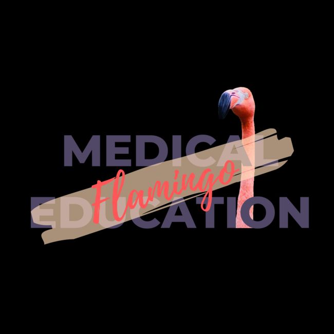 Medical Education Flamingo