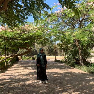 Arwa Ahmed