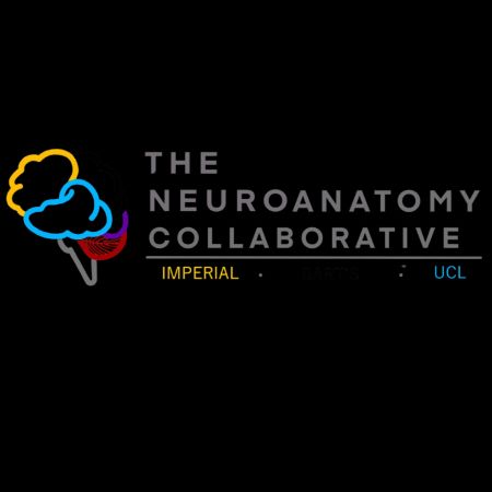 Neuroanatomy Collaborative Admin