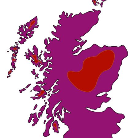 Scottish Undergraduate Oncology Consortium