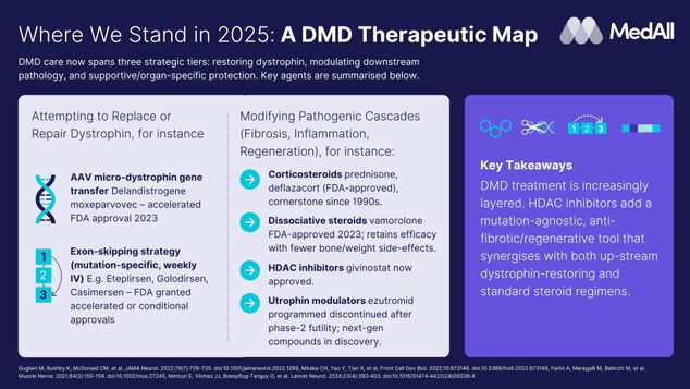 Where We Stand in 2025: A DMD Therapeutic Map | MedAll