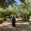 Arwa Ahmed