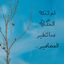 Amany Eid
